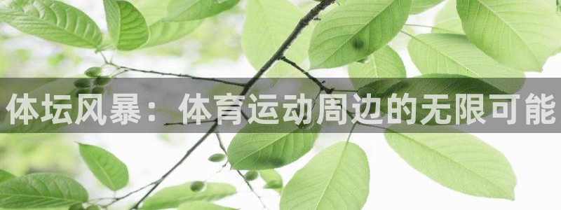 3377体育官方正版app集团官网首页网址：体坛风暴：体育运