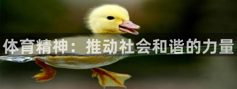 3377体育官方正版app娱乐是那个系列的台子：体育精神：推