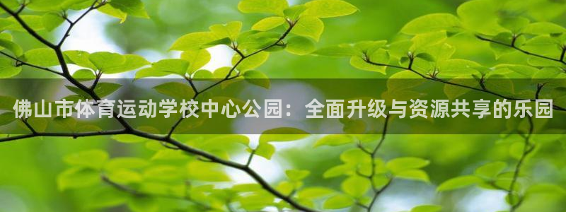 3377体育官方正版app集团官网首页网址：佛山市体