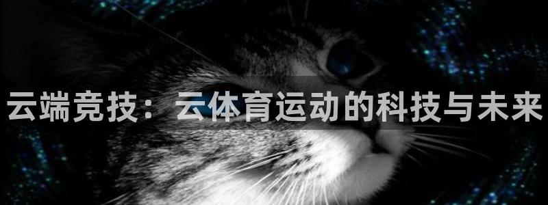3377体育官方正版app代理：云端竞技：云体育运动
