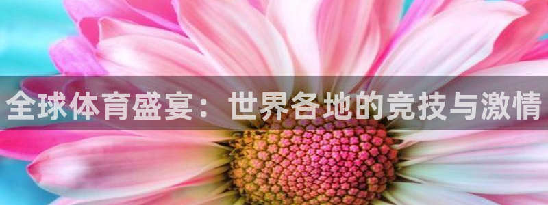 3377体育官方正版app娱乐首页官网下载：全球体育
