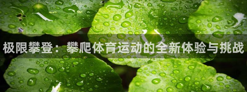 3377体育官网下载招商电话是多少号码：极限攀登：攀