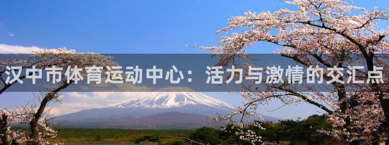3377体育官方正版app官方：汉中市体育运动中心：