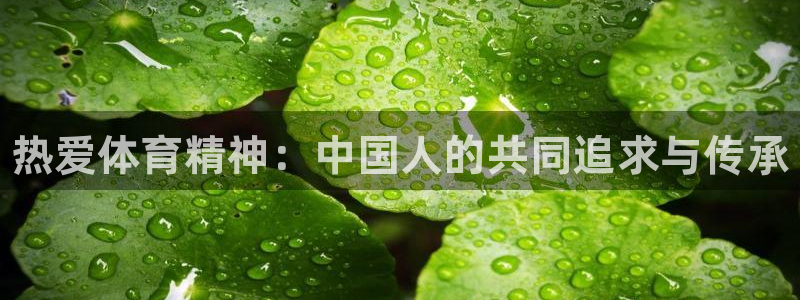 3377体育官方正版app集团官网网址：热爱体育精神
