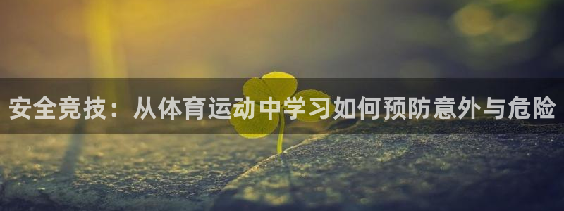 3377体育官方集团官网：安全竞技：从体育运动中学习