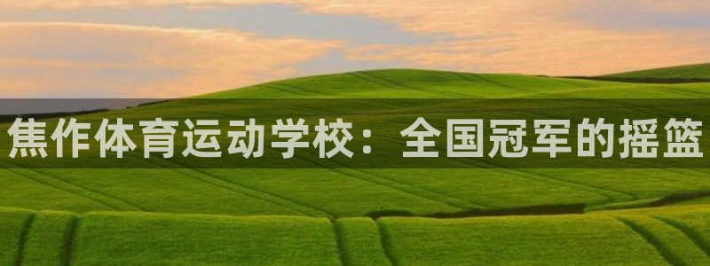 3377体育官方正版app神州：焦作体育运动学校：全