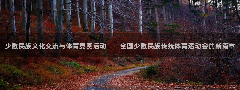 3377体育官方正版app集团E.ON：少数民族文化