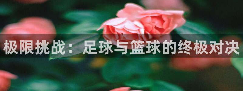 海南3377体育官网下载发展怎么样：极限挑战：足球与篮球的终