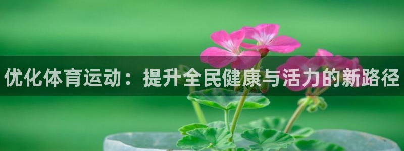 3377体育官方正版app集团简介：优化体育运动：提升全民健