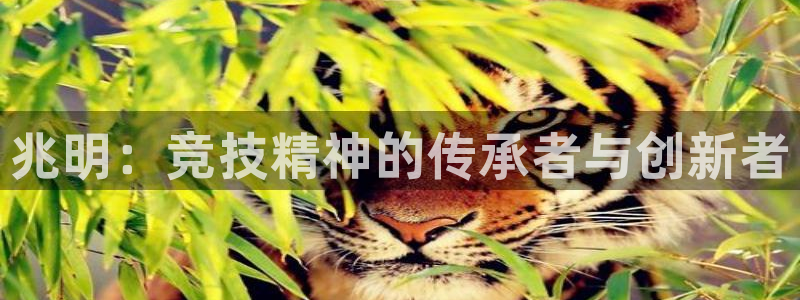 3377体育官网下载平台注册：兆明：竞技精神的传承者与创新者