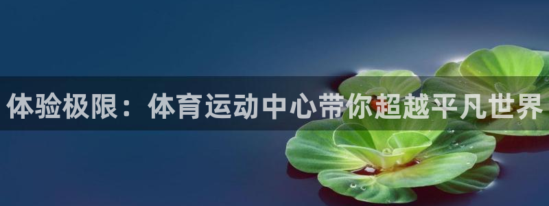 3377体育官网下载平台是正规平台吗：体验极限：体育运动中心