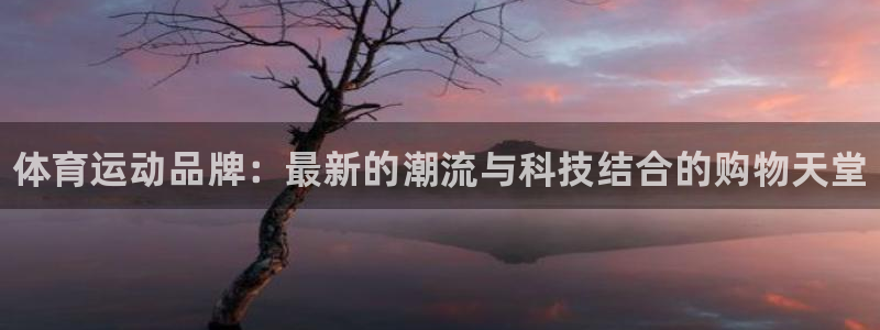 3377体育官方正版app娱乐代理怎么样：体育运动品牌：最新