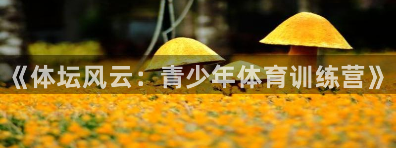 3377体育官网下载软件：《体坛风云：青少年体育训练营》