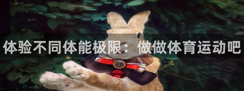 3377体育官网下载平台：体验不同体能极限：做做体育运动吧