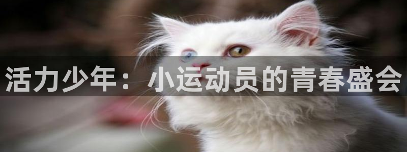 3377体育官网下载娱乐：活力少年：小运动员的青春盛会