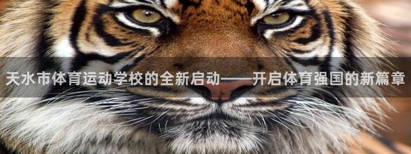 3377体育官方集团官网：天水市体育运动学校的全新启动——开
