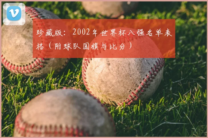珍藏版:2002年世界杯八强名单表格(附球队国旗与比分)