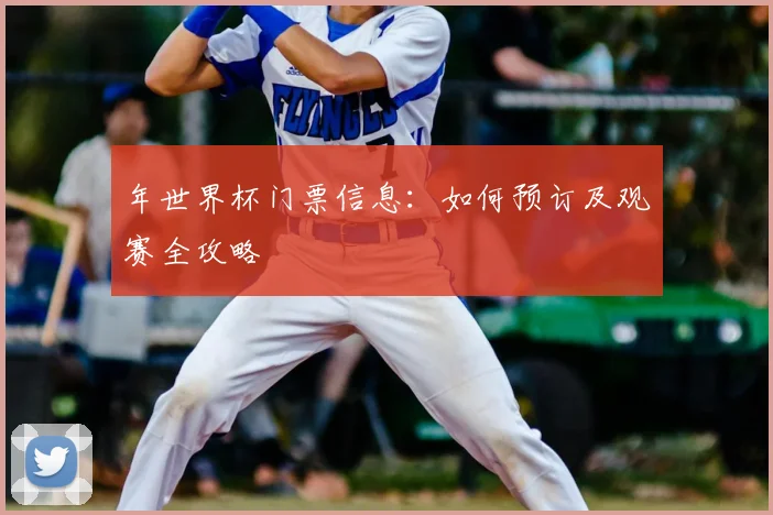年世界杯门票信息:如何预订及观赛全攻略
