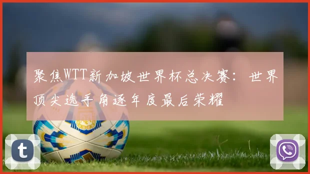 聚焦WTT新加坡世界杯总决赛：世界顶尖选手角逐年度最后荣耀