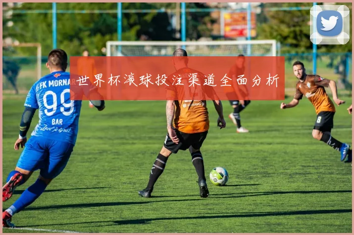 世界杯滚球投注渠道全面分析