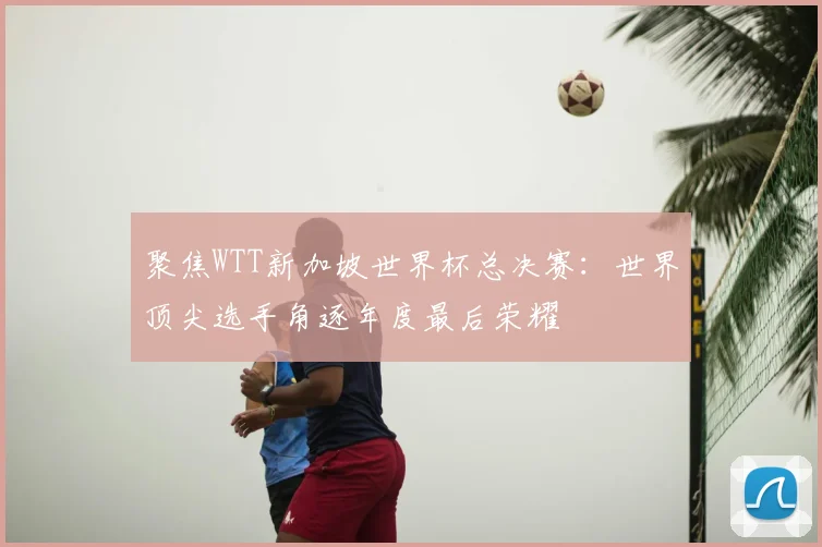 聚焦WTT新加坡世界杯总决赛:世界顶尖选手角逐年度最后荣耀