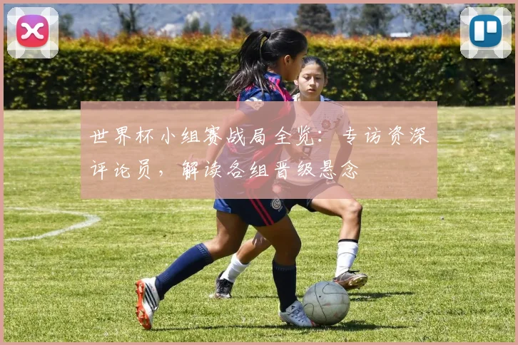 世界杯小组赛战局全览:专访资深评论员,解读各组晋级悬念