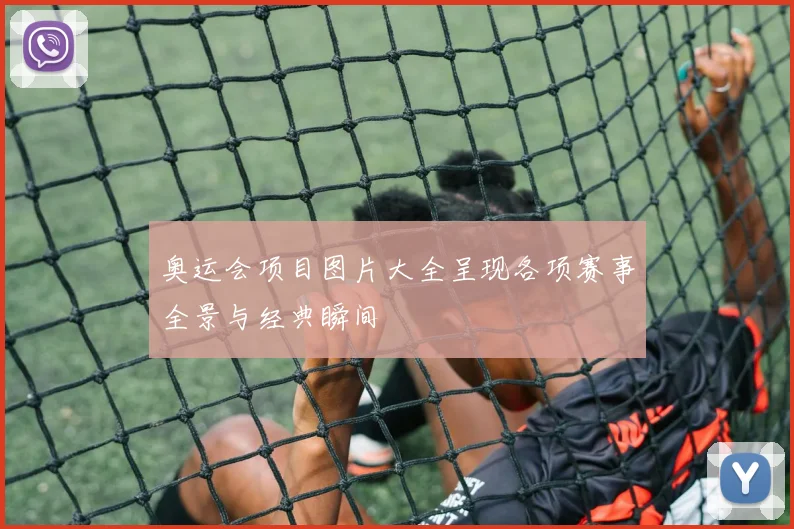奥运会项目图片大全呈现各项赛事全景与经典瞬间