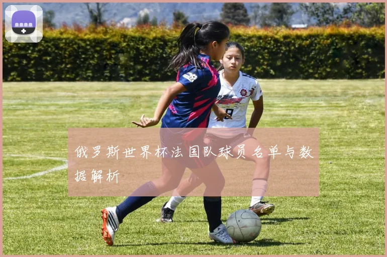 俄罗斯世界杯法国队球员名单与数据解析