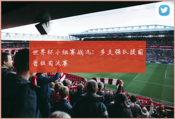 世界杯小组赛战况：多支强队提前晋级淘汰赛