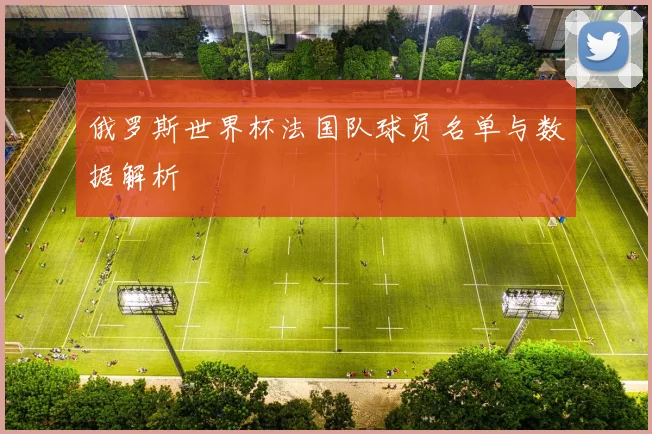 俄罗斯世界杯法国队球员名单与数据解析