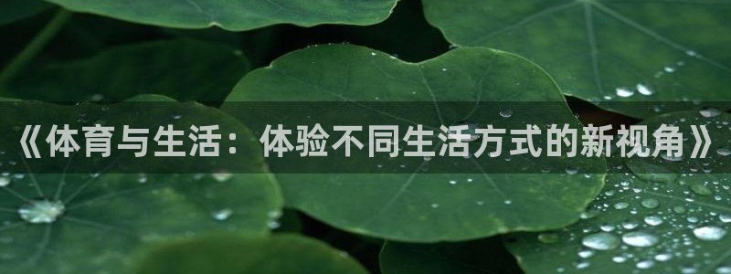 3377体育十大必吃榜：《体育与生活