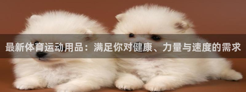  3377体育：最新体育运动用品：满足你对健康、力量与速度的需