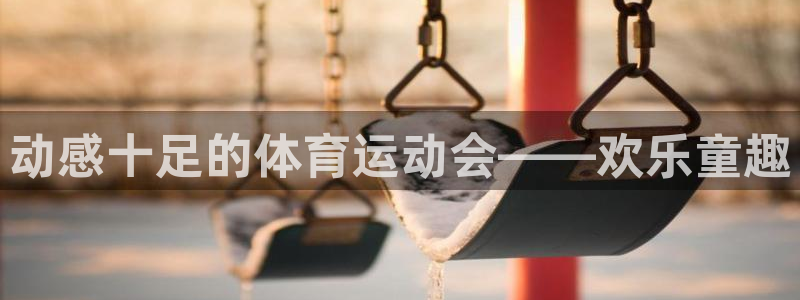  3377体育在哪个国家运营：动感十足的体育运动会——欢乐童趣