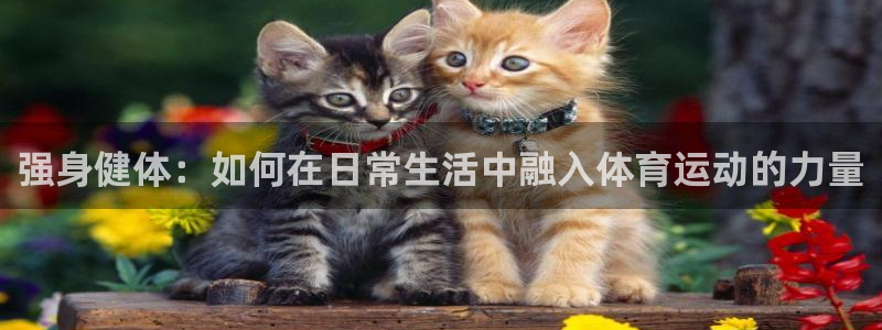  3377体育官网址：强身健体：如何在日常生活中融入体育运动的