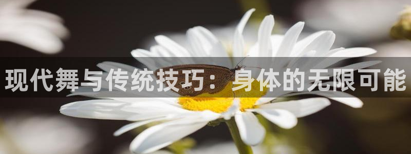 3377体育被国家取消了吗现在：现代舞与传统技巧：身体的无限