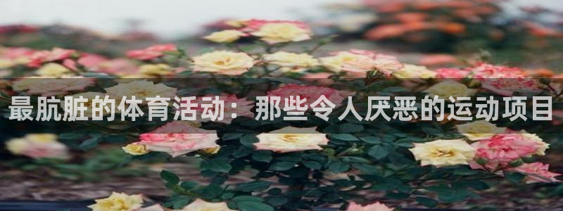 3377体育提款失败的原因分析：最肮脏的体育活动：那些令人厌