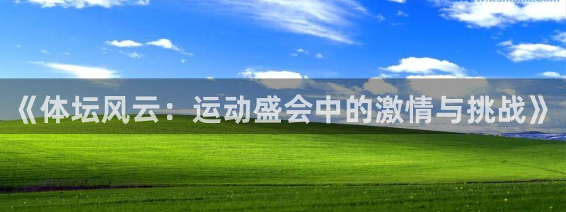  3377体育手机平台：《体坛风云：运动盛会中的激情与挑战》