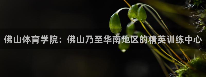 3377体育被国家取消了吗今天：佛山体育学院：佛山乃至华南地
